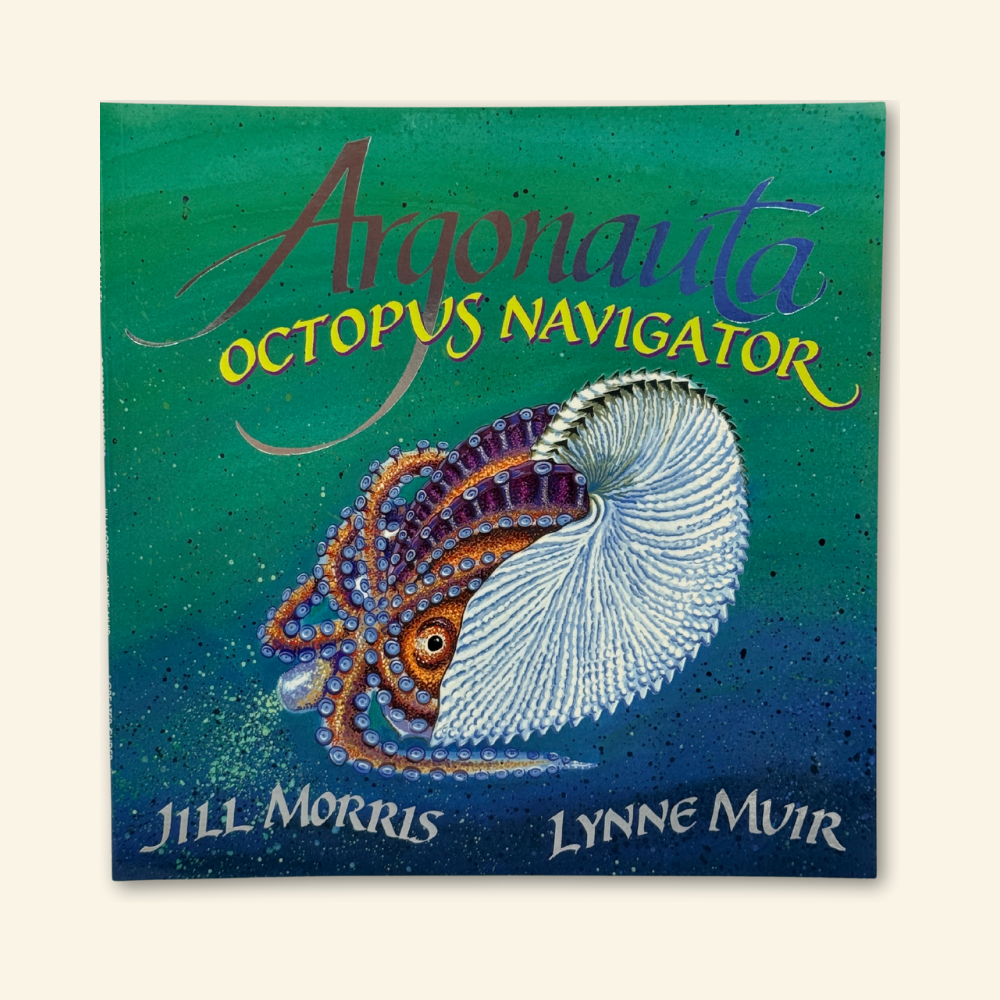 Argonauta Octopus Navigator