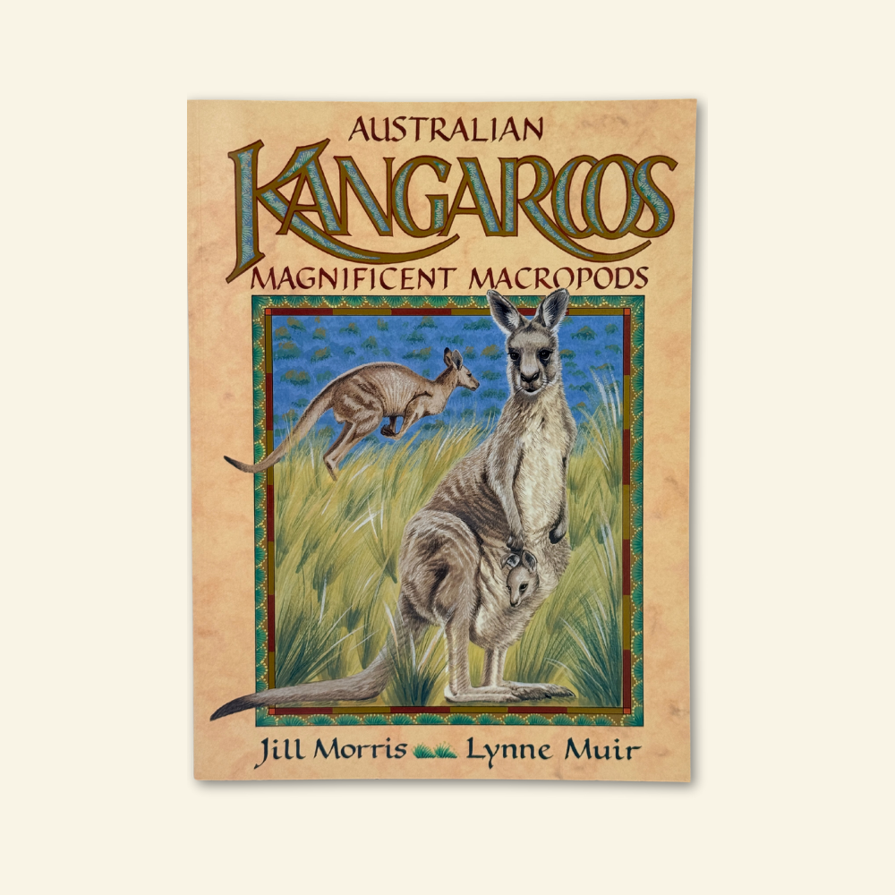 Australian Kangaroos