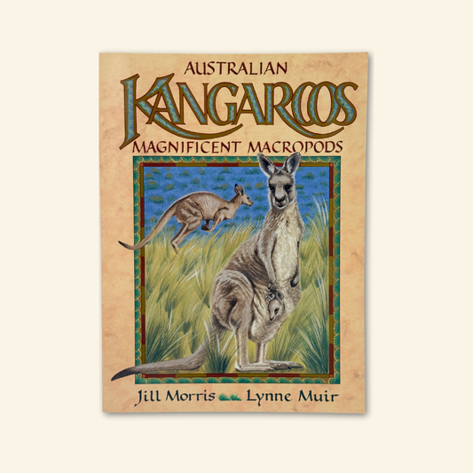 Australian Kangaroos